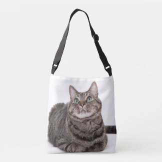 Gray Tabby Cat Tragetaschen Mit Langen Trägern