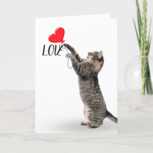 Gray Tabby mit Heart Balloon Karte