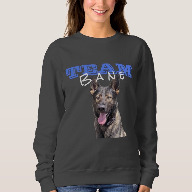 Gray Team Bane Sweatshirt (mit Foto) (Vorderseite)
