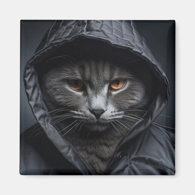 Gray Tom Cat Wearing Hoodie Jacket Magnet (Vorne)