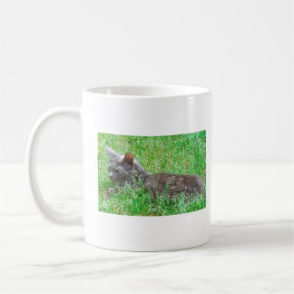 Gray Tortie Cat Kaffeetasse