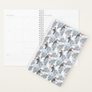 Gray Toucan Planer