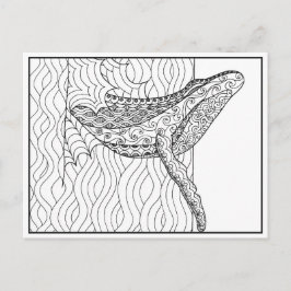 Gray Whale Postcard Postkarte