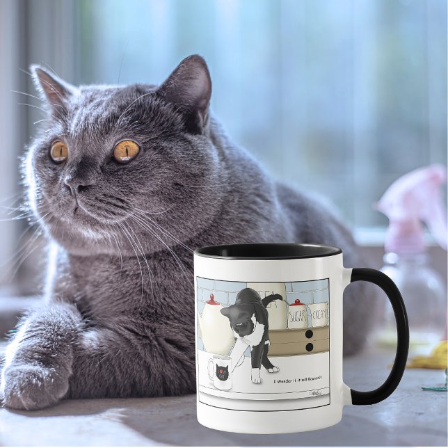 Gray White Cat Funny Tee Tasse Küche (Von Creator hochgeladen)
