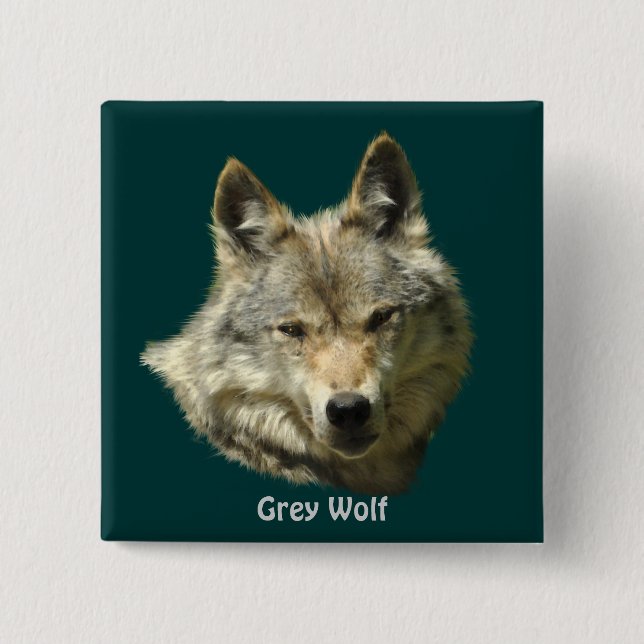 Gray Wolf Alpha Female Wildlife-Liebhaber Button (Vorderseite)