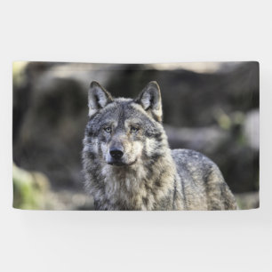 Gray Wolf Banner