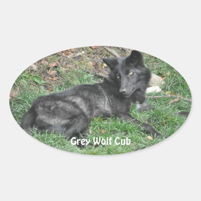 GRAY WOLF CUB Wildlife Supporter Stickers (Vorderseite)