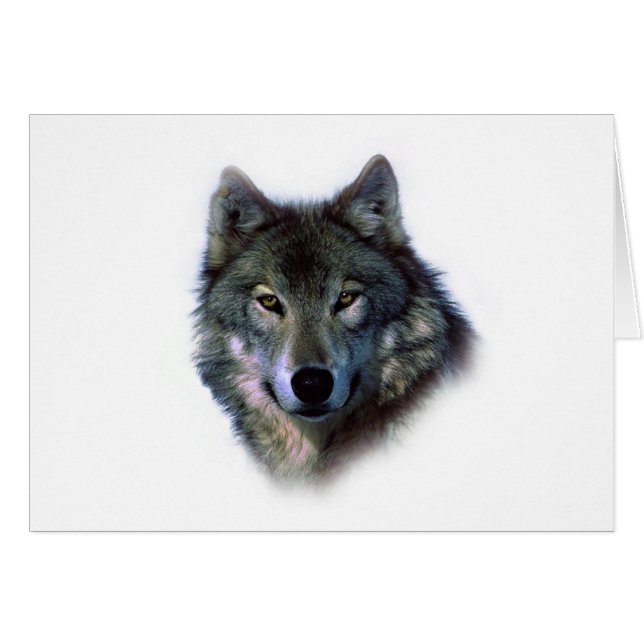Gray Wolf Eyes (Vorderseite (Horizontal))