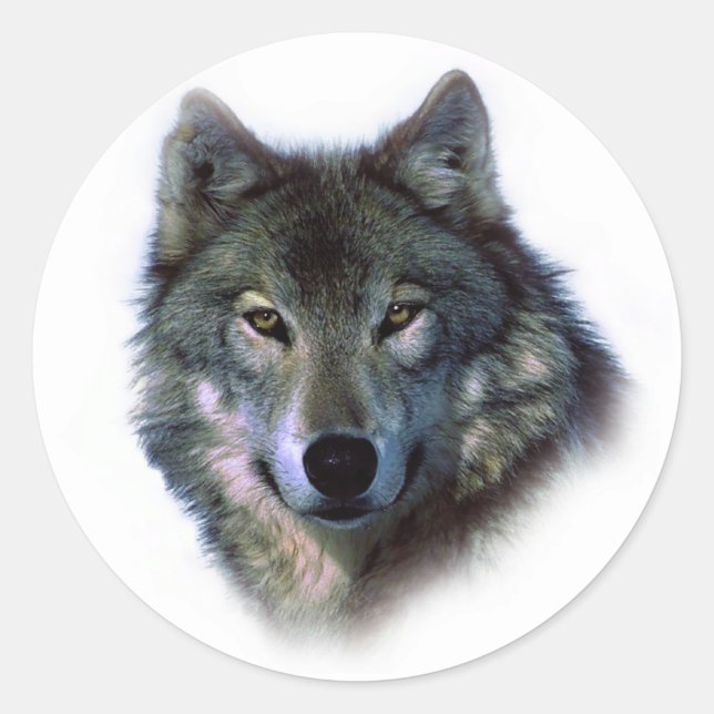 Gray Wolf Eyes Runder Aufkleber (Vorderseite)