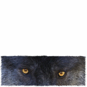 GRAY WOLF EYES (skulptiert) Geschenkgegenstand Fotoskulptur Magnet