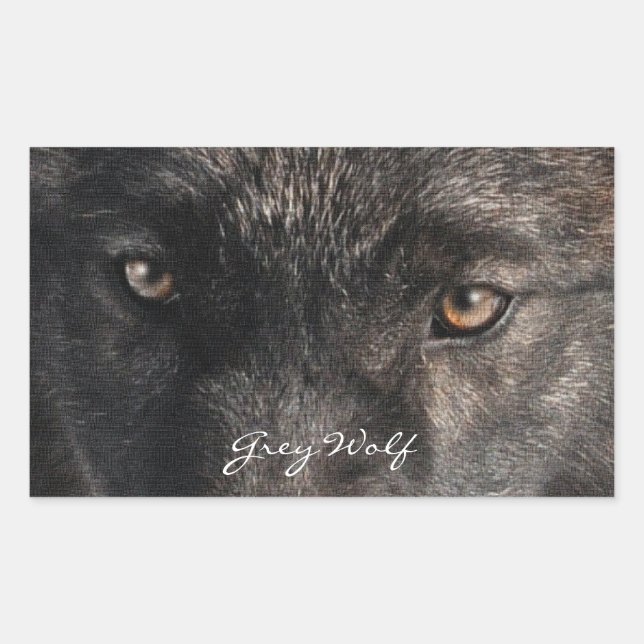 GRAY WOLF EYES Wildlife Supporter Stickers (Vorderseite)