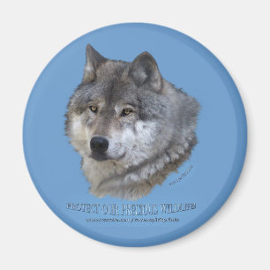 GRAY WOLF HEAD Magnet