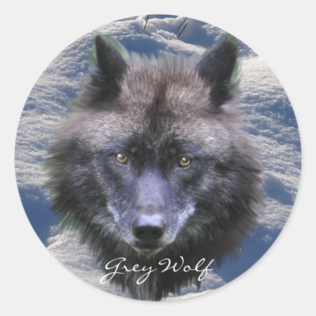 GRAY WOLF HEAD & SNOW Wildlife Supporter Stickers (Vorderseite)