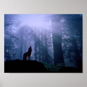 Gray Wolf Howling in der Morgendämmerung Poster