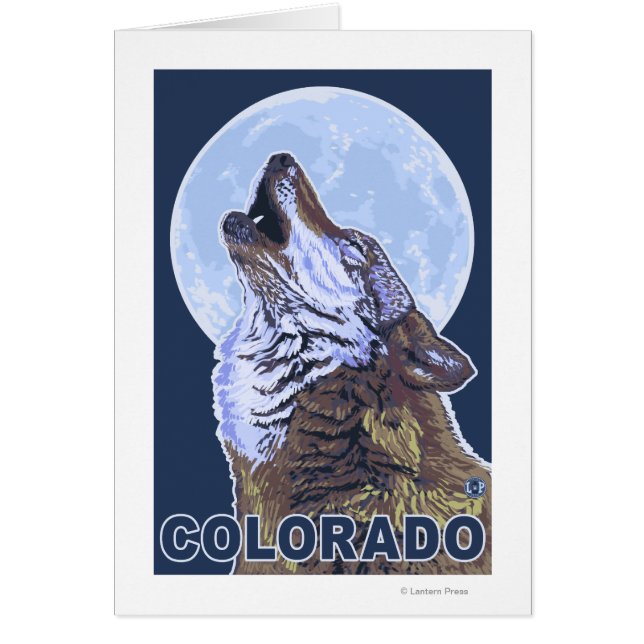 Gray Wolf HowlingColorado (Vorne)