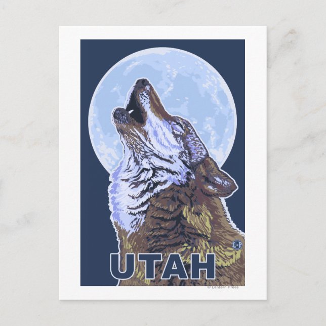 Gray Wolf HowlingUtah Postkarte (Vorderseite)