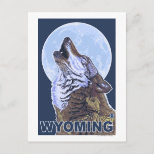 Gray Wolf HowlingWyoming Postkarte
