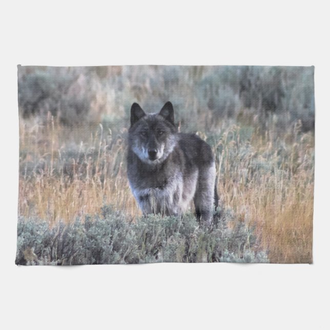 Gray Wolf in Yellowstone Küche Geschirr Handtuch (Horizontal)