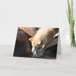 Gray Wolf Karte