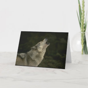 Gray Wolf Karte
