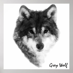 Gray Wolf Klassik Poster