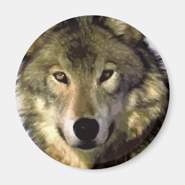 Gray Wolf Magnet (Vorne)
