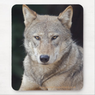 Gray Wolf Mousemat Mousepad