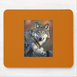 Gray Wolf Mousepad