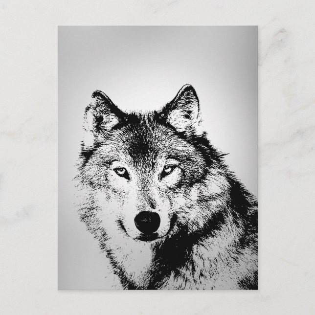 Gray Wolf Postcard Postkarte (Vorderseite)