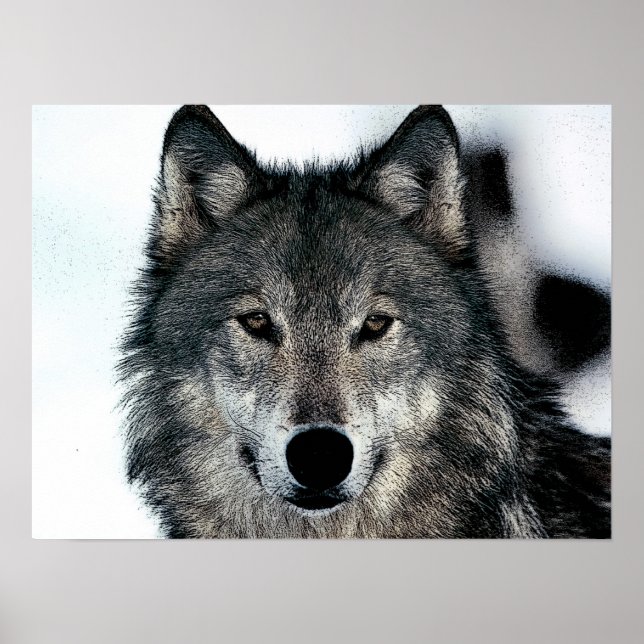 Gray Wolf Poster (Vorne)