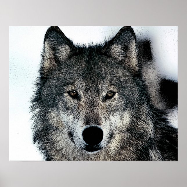 Gray Wolf Poster (Vorne)