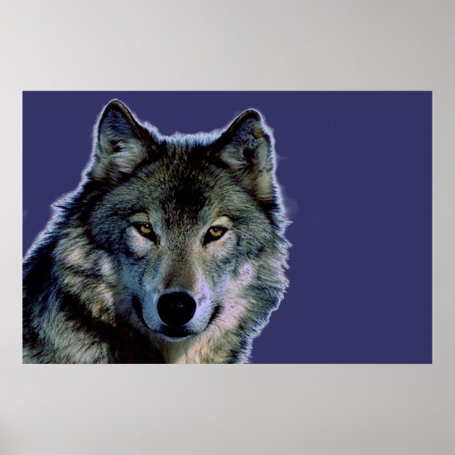 Gray Wolf Poster (Vorne)