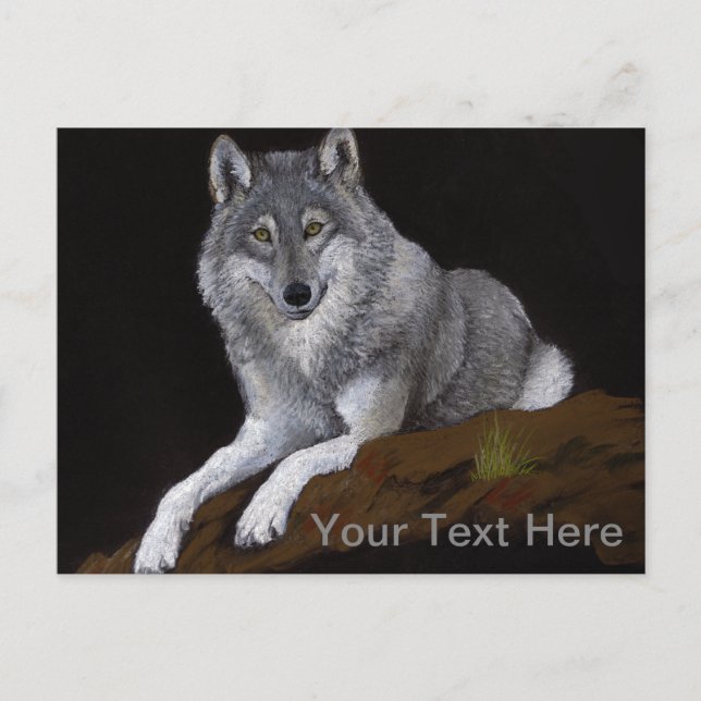 Gray Wolf Postkarte (Vorderseite)
