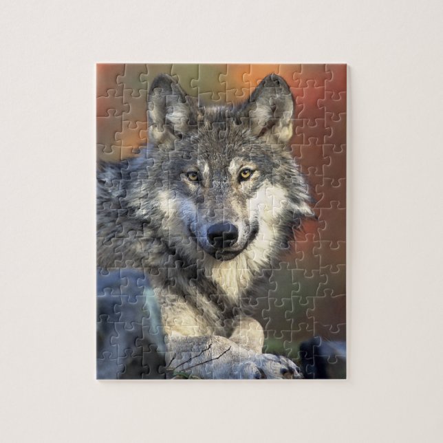 Gray Wolf Puzzle (Vertikal)