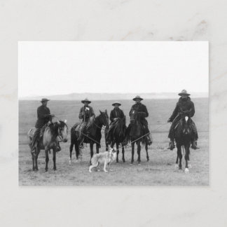 Gray Wolf Roundup, 1887 Postkarte