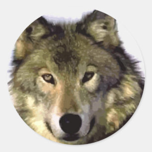Gray Wolf Runder Aufkleber