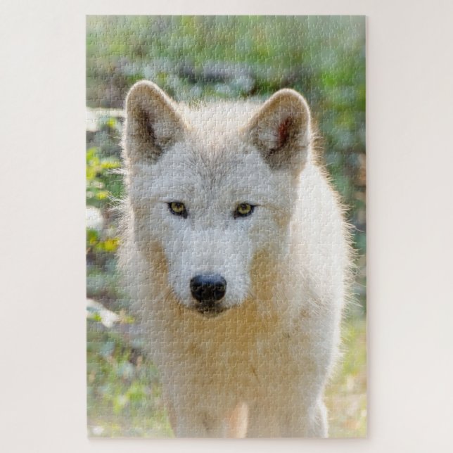 Gray Wolf, schöne Kaninenfotografie Puzzle (Vertikal)