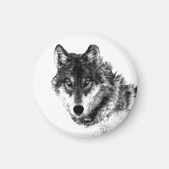 Gray Wolf Sketch Artwork Magnet (Vorne)
