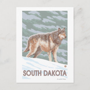 Gray Wolf StandingSouth Dakota Postkarte