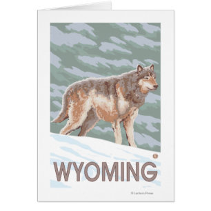 Gray Wolf StandingWyoming