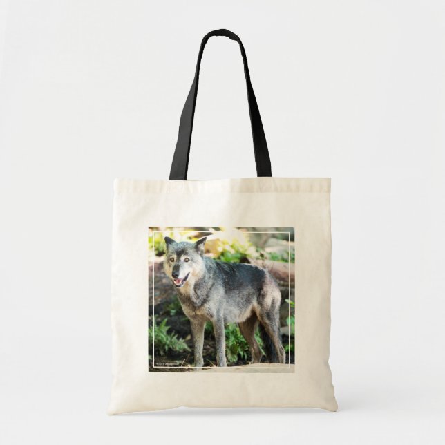 Gray Wolf Stehend alleine Tragetasche (Vorne)