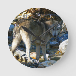 Gray Wolf & Stony Creek Foto Clock Runde Wanduhr
