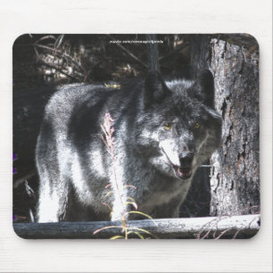 Gray Wolf Study Wildlife Supporter Mousepad