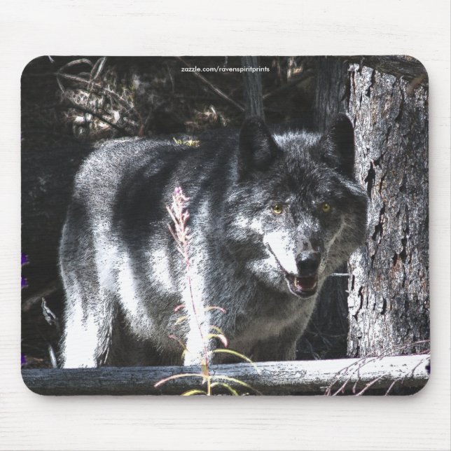 Gray Wolf Study Wildlife Supporter Mousepad (Vorne)