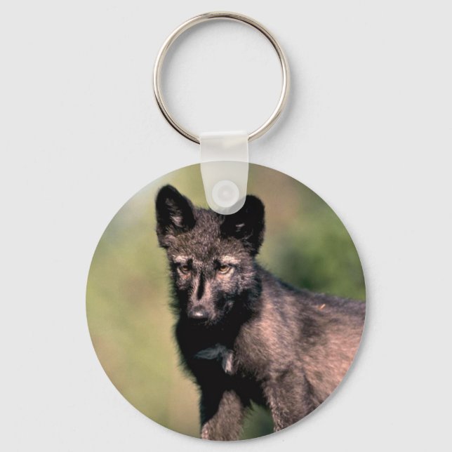 Gray Wolf-Summer-(Black-Phase) cub Schlüsselanhänger (Vorderseite)