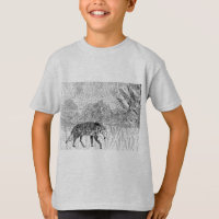 Gray Wolf Wild Animal