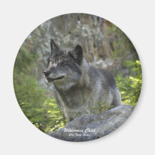 Gray Wolf Wildlife Fotografy Magnet
