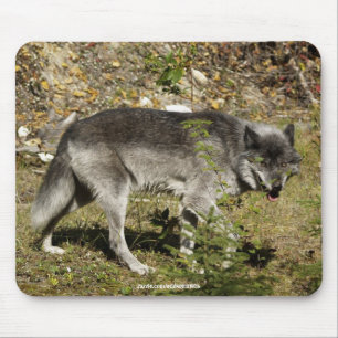 Gray Wolf Wildlife Mouse Pad Mousepad