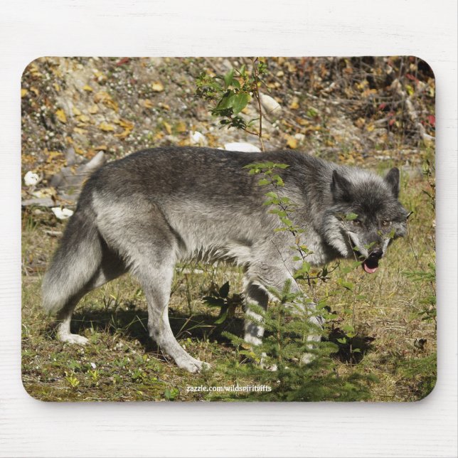 Gray Wolf Wildlife Mouse Pad Mousepad (Vorne)