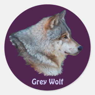 GRAY WOLF Wildlife Sticker Collection